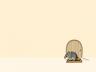 MouseHouse.jpg