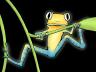 RibbitRibbit.jpg